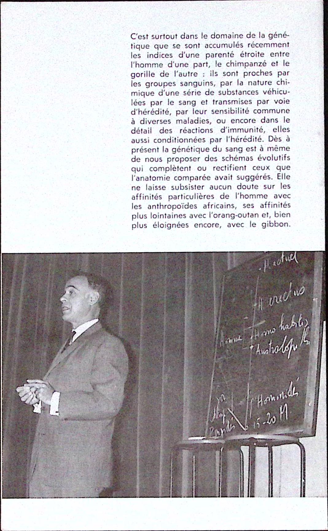 Livre ancien - Histoire - Découvertes récentes sur l'origine de l'homme - Jean Hiernaux - EO - 1968 - TTBE- Cercle d'éducation populaire