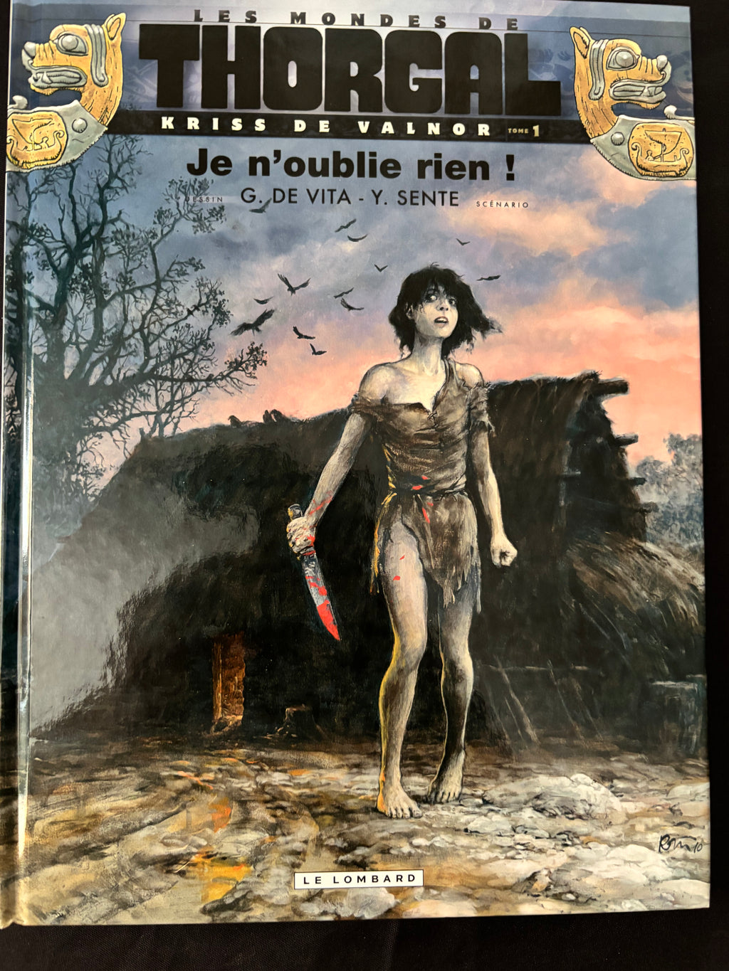 Cómic - Los mundos de Thorgal - la juventud - No olvido nada - De Vita - EO - 2010 - TTBE - Le Lombard