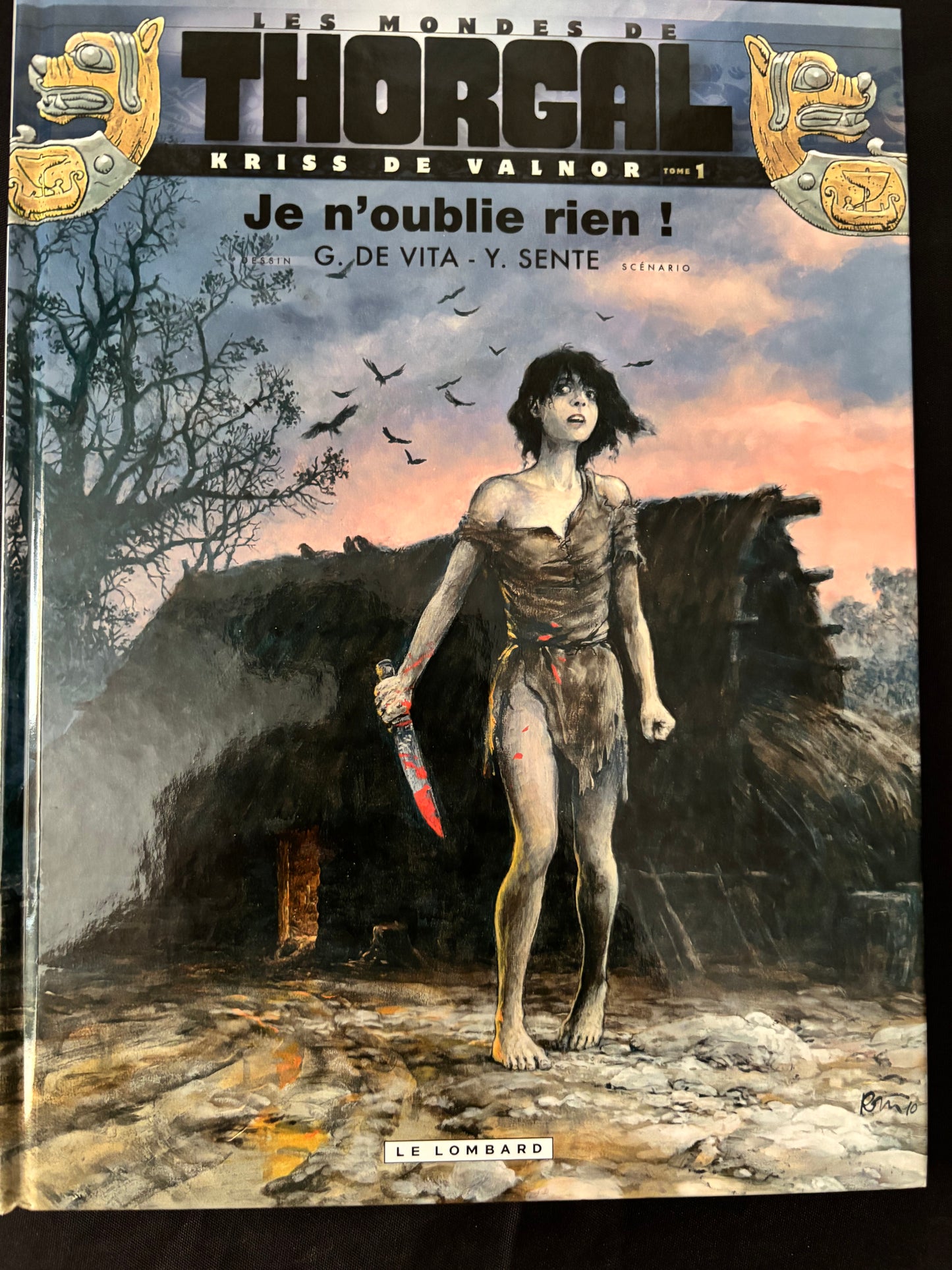 Bd - Les mondes de Thorgal - la jeunesse - Je n'oublie rien - De Vita - EO - 2010 - TTBE - Le Lombard