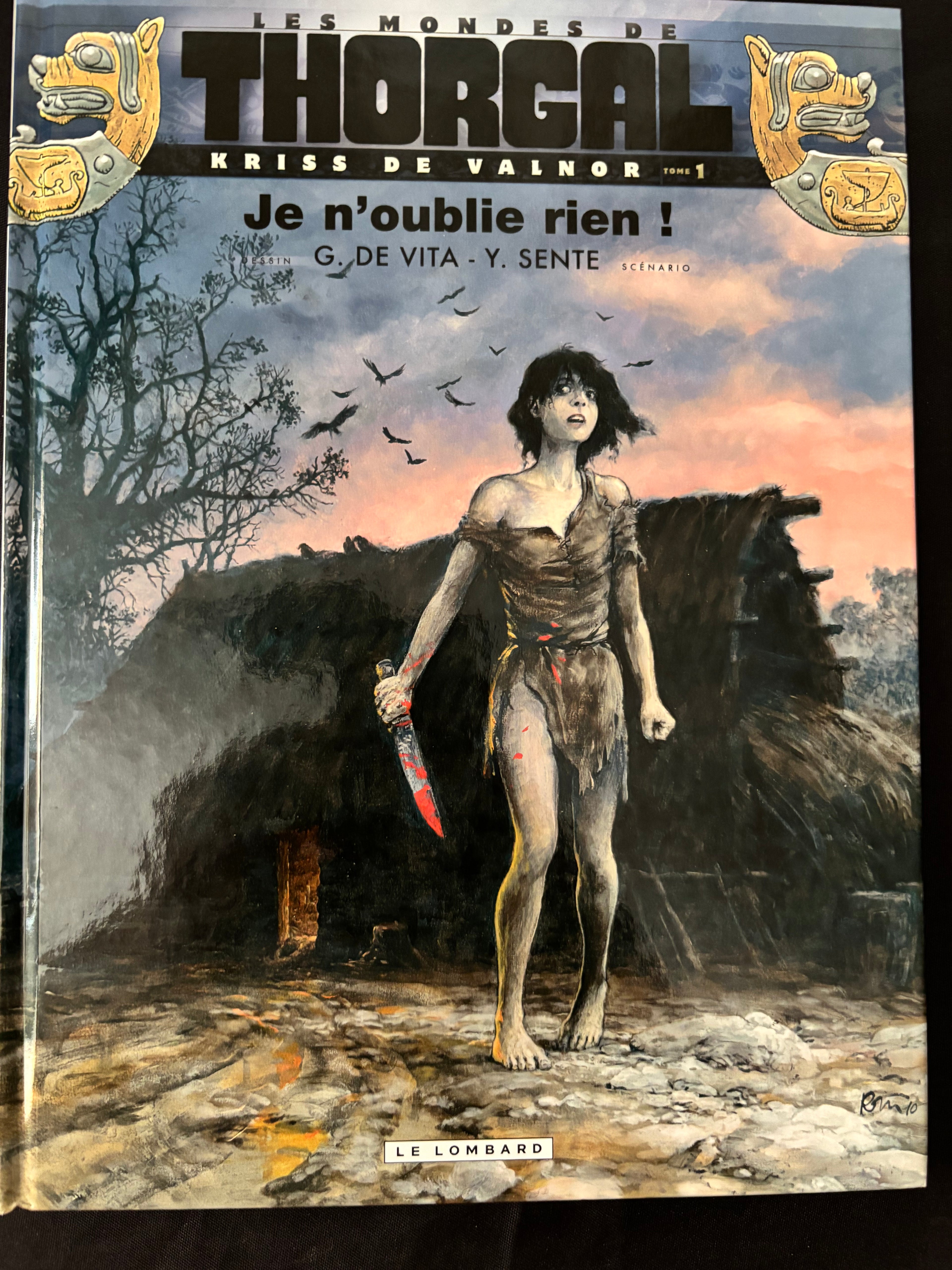 Bd - Les mondes de Thorgal - la jeunesse - Je n'oublie rien - De Vita - EO - 2010 - TTBE - Le Lombard