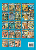 BD  Yoko Tsuno- La pagode des brumes -N°23 -  EO cartonnée - 2001 - TTBE- Leloup