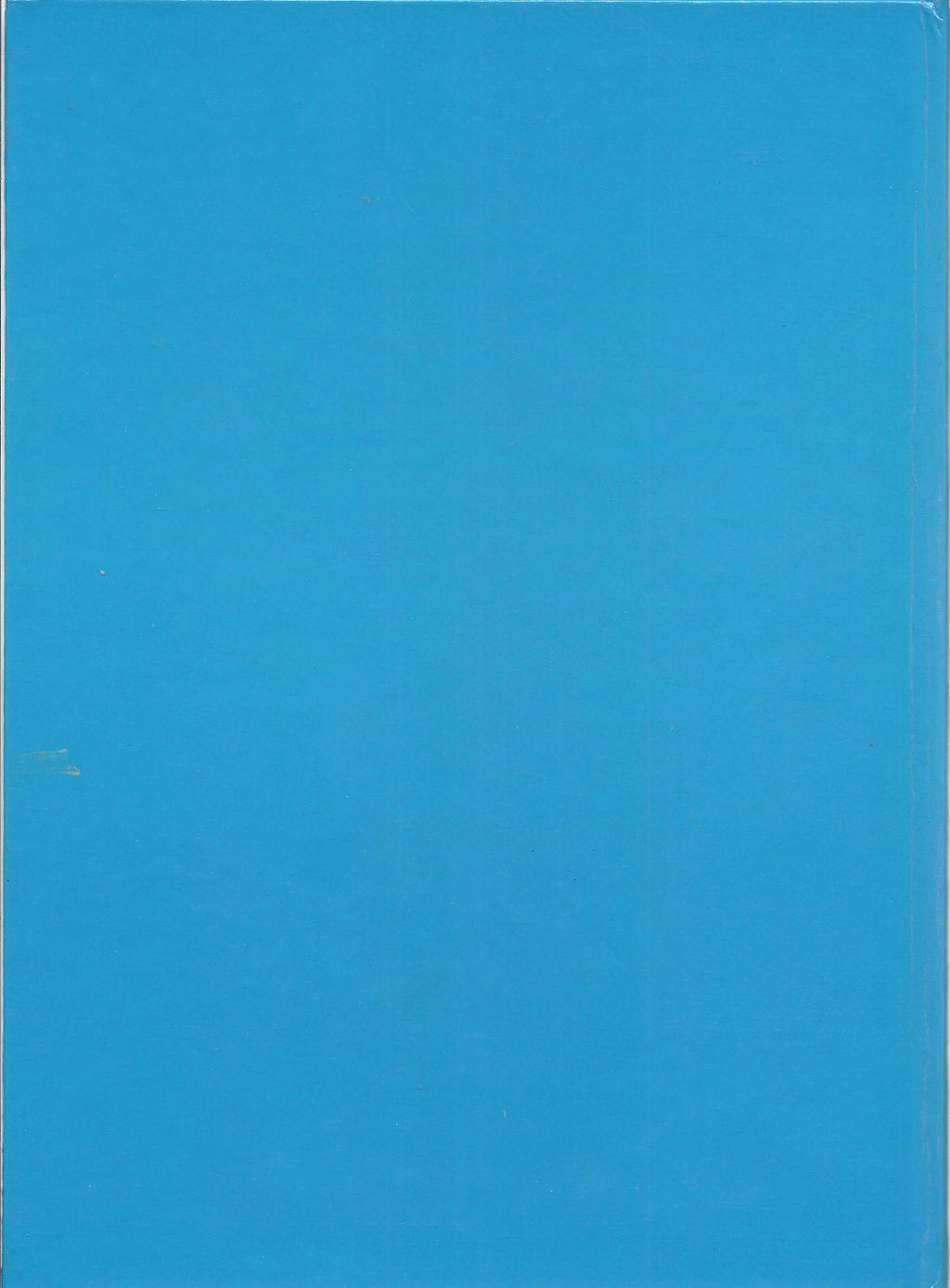BD  Flamme d'argent  - Le croisé sans nom-  RE .1981   TTBE - Paul Cuvelier
