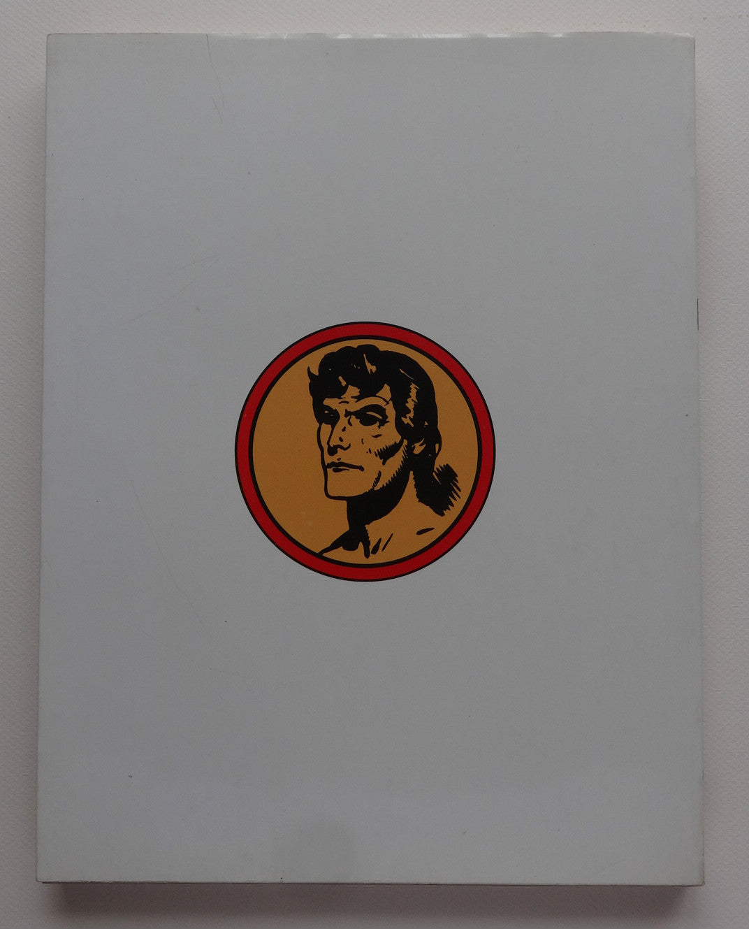 Tarzan Lord of the Jungle Comic - Large format - First Edition - 1973 - Very Good Condition - E.R. Burroughs